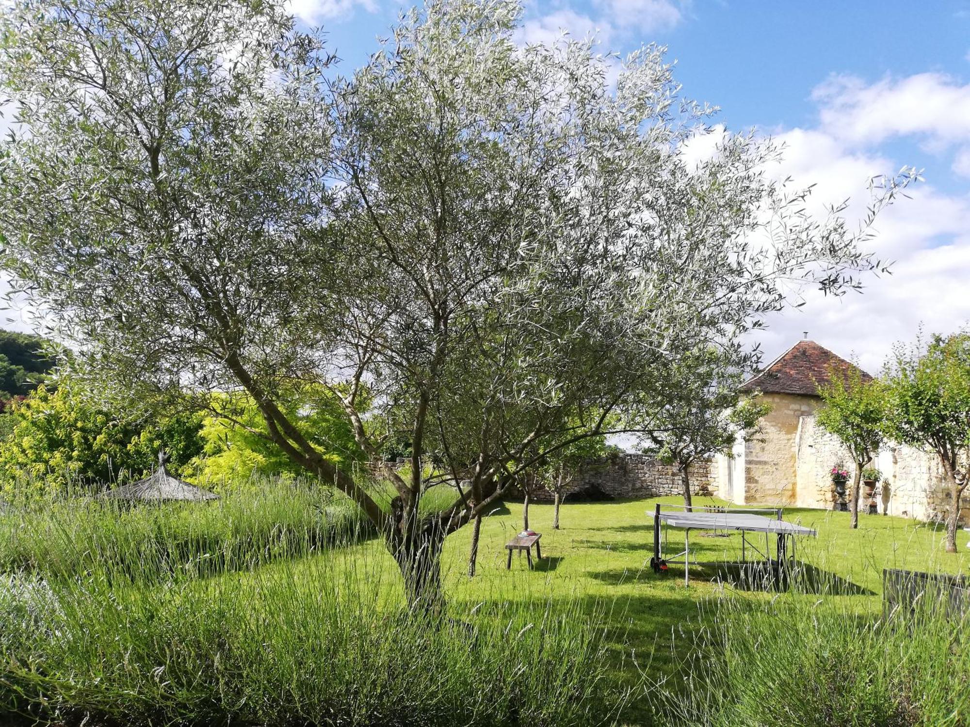 Bed and Breakfast Domaine De Givre Chinon Exterior foto