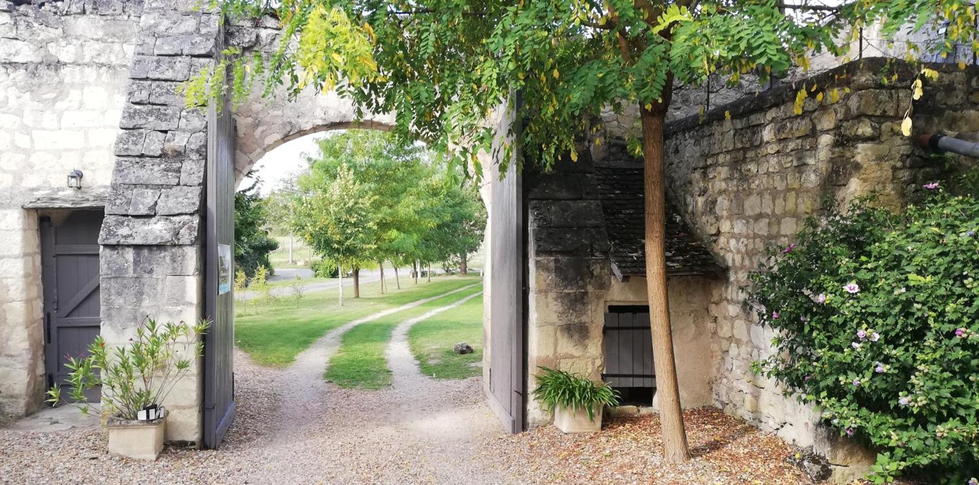 Bed and Breakfast Domaine De Givre Chinon Exterior foto