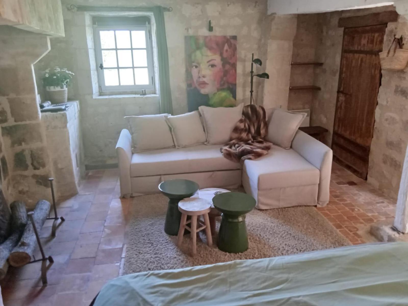 Bed and Breakfast Domaine De Givre Chinon Exterior foto