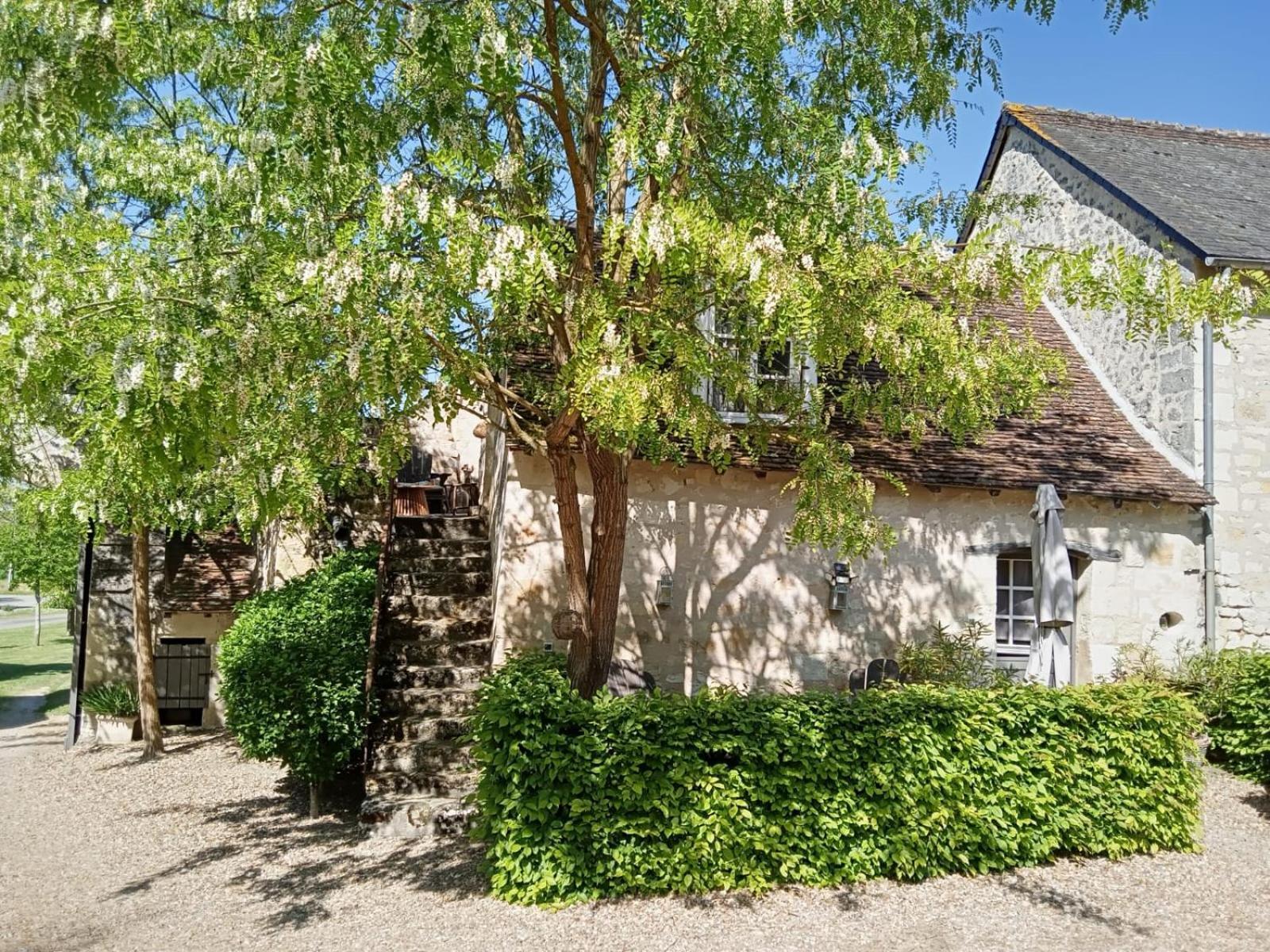 Bed and Breakfast Domaine De Givre Chinon Exterior foto